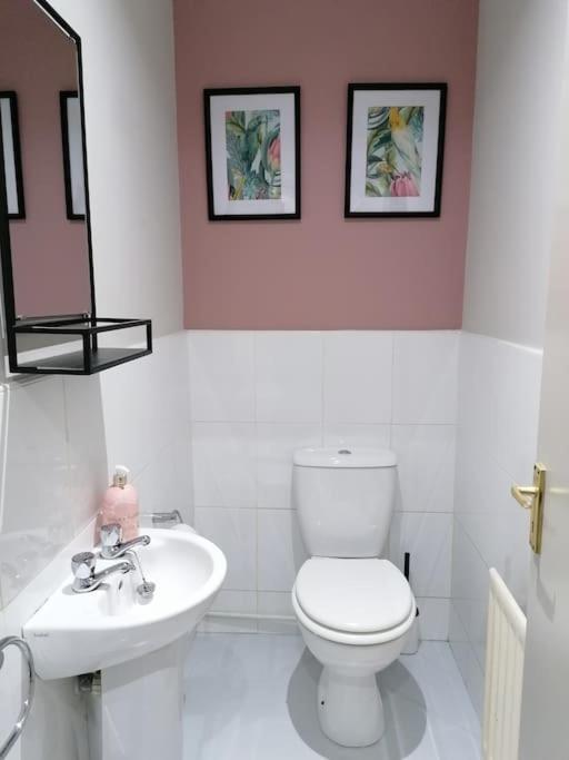 Stunning 3 Bedroom Townhouse In The Heart Of City Μπέλφαστ Εξωτερικό φωτογραφία